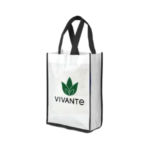 Vertical Non woven Bag